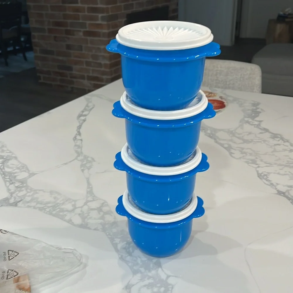 Tuppeware Small Containers